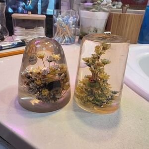 Vintage Daisyglas Lucite dried flower paperweights